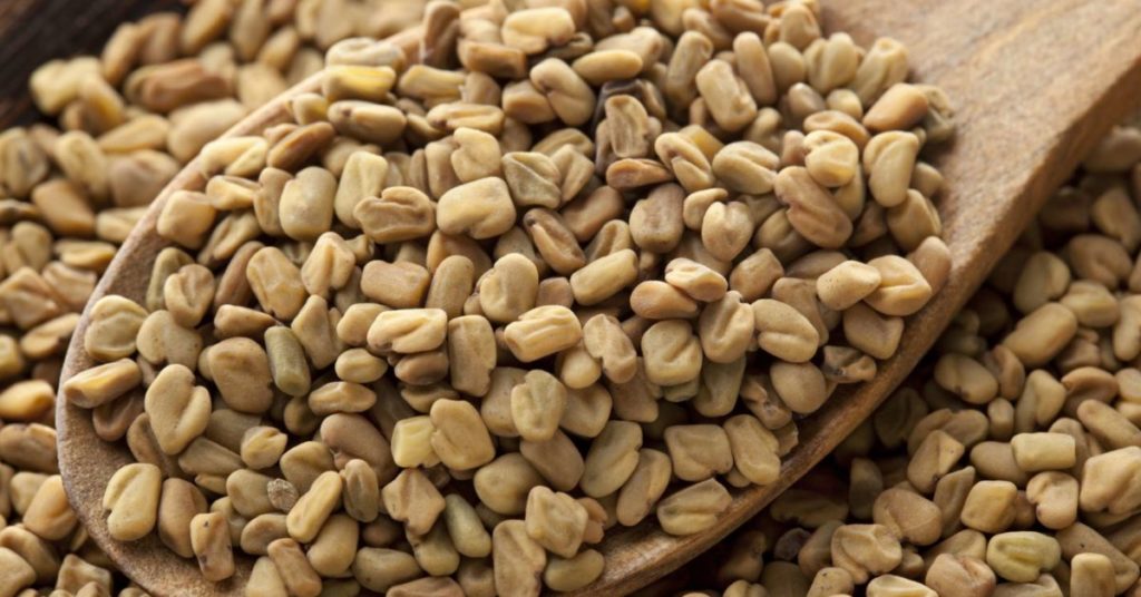 Fenugreek Seeds – Saanray Export Networks